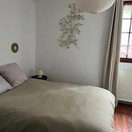 La Maison Du Pont Vieux - Emplacement De Parking Gratuit - Proche Cite Medievale Καρκασόν