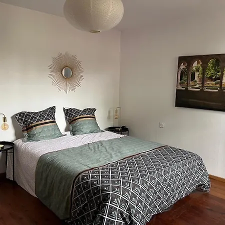 La Maison Du Pont Vieux - Emplacement De Parking Gratuit - Proche Cite Medievale Σπίτι διακοπών *