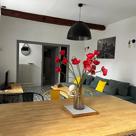 La Maison Du Pont Vieux - Emplacement De Parking Gratuit - Proche Cite Medievale