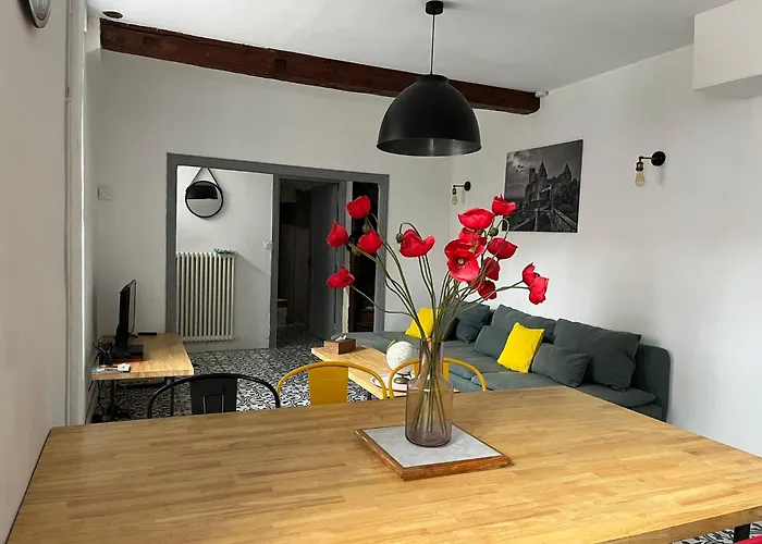 La Maison Du Pont Vieux - Emplacement De Parking Gratuit - Proche Cite Medievale